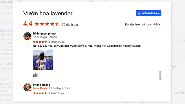 Cánh đồng hoa Lavender Đà Lạt review