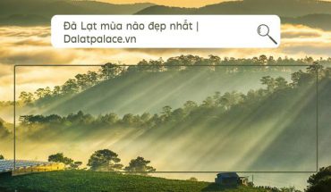 Đà Lạt mùa nào đẹp nhất