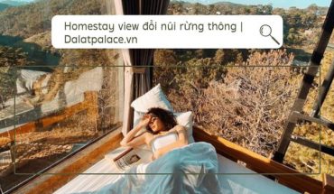 Homestay Đà Lạt view đồi núi rừng thông