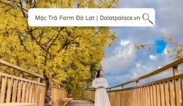 Mộc Trà Farm Đà Lạt