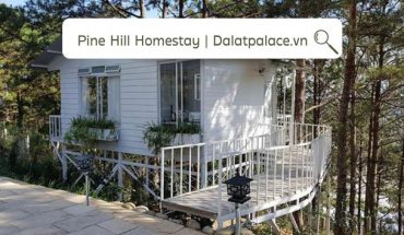 Pine Hill Homestay Đà Lạt