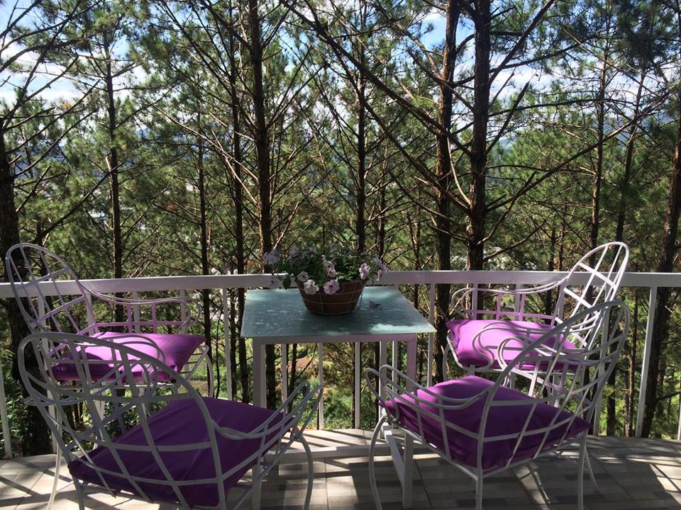 Pine hill homestay Đà Lạt