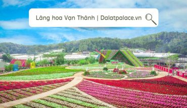 Làng hoa Vạn Thành