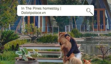 In The Pines homestay Đà Lạt