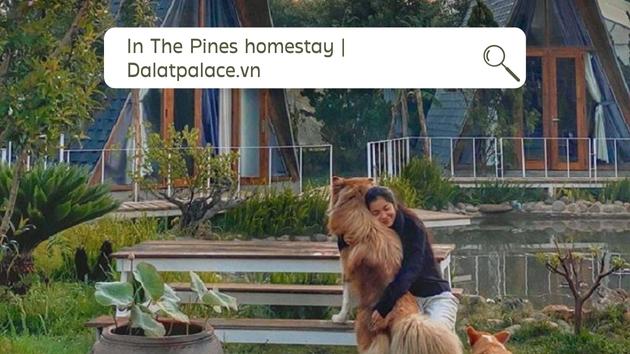 In The Pines homestay Đà Lạt