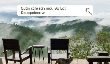 Quán cafe săn mây Đà Lạt