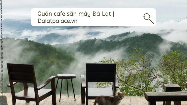 Quán cafe săn mây Đà Lạt