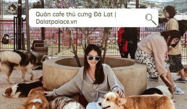 Quán cafe thú cưng Đà Lạt