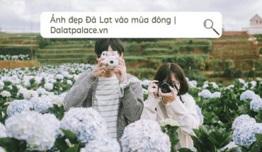 Ảnh đẹp Đà Lạt vào mùa đông