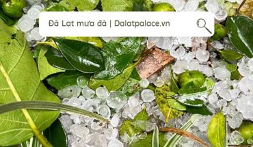 Đà Lạt mưa đá