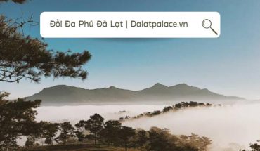 Đồi Đa Phú Đà Lạt