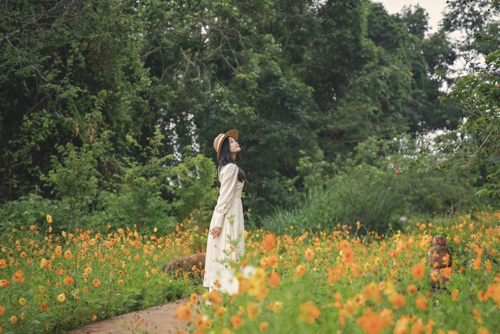 Chụp hình sống ảo tại vườn hoa cánh bướm ở Hoa Sơn Điền Trang