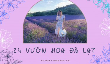 Vườn hoa Đà Lạt