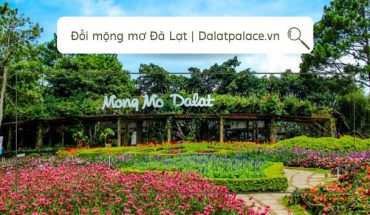 Đồi mộng mơ Đà Lạt