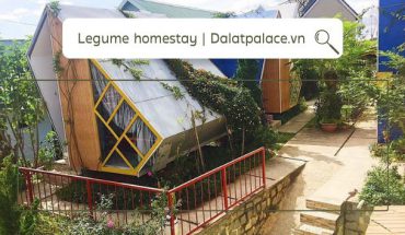 Legume homestay Đà Lạt