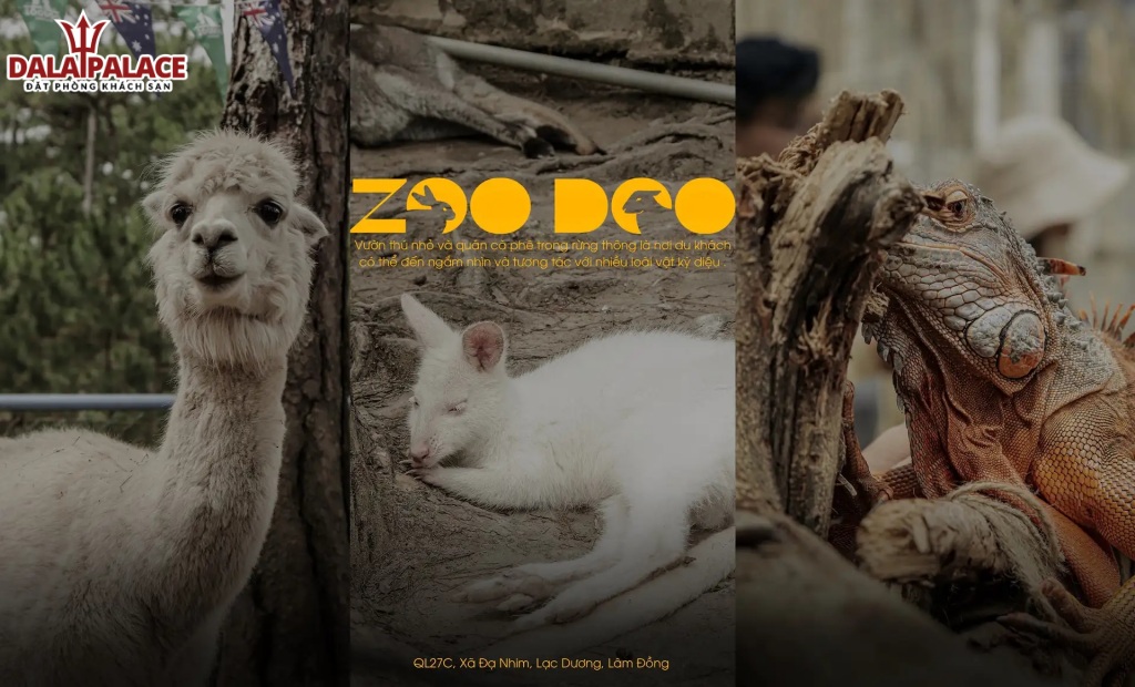 Một số loài động vật quý hiếm tại ZooDoo