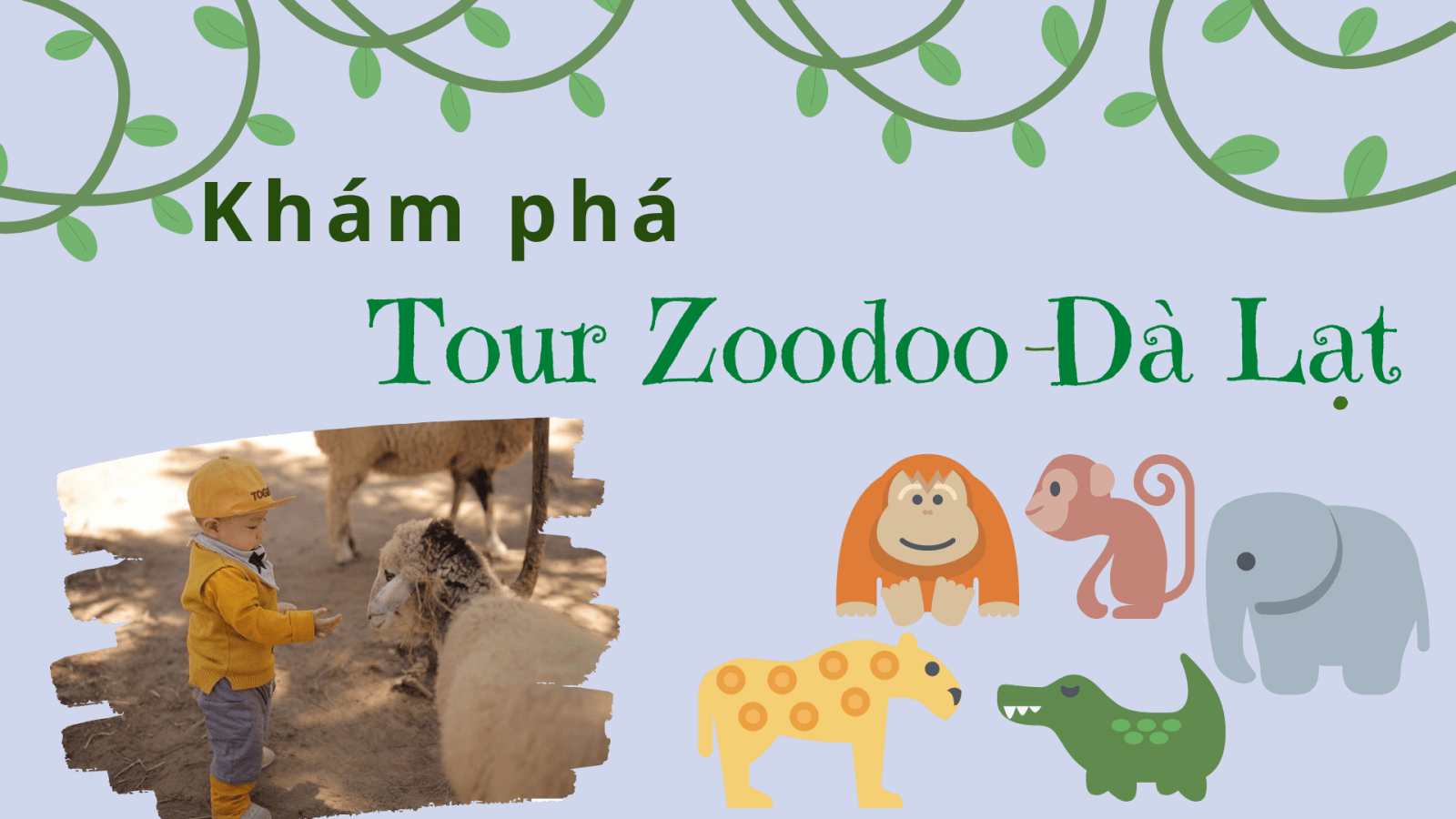 Tour Zoodoo Đà Lạt