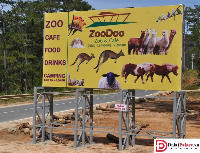 Khám phá tour sở thú Zoodoo Đà Lạt - Zoodoo có gì mà lại hot đến vậy !