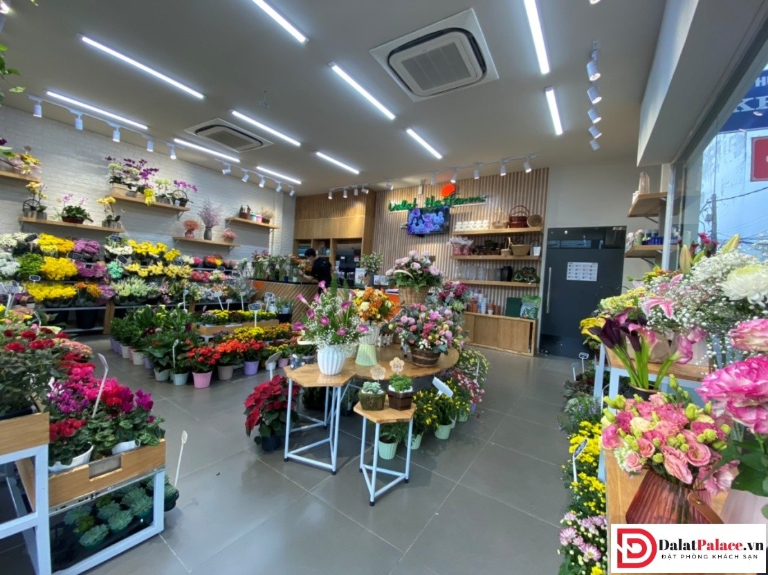 Shop hoa Dalat Hasfarm