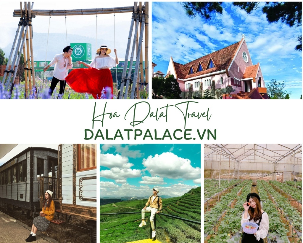 Giá rẻ tour Bình Dương đi Đà Lạt - Hoa Dalat Travel