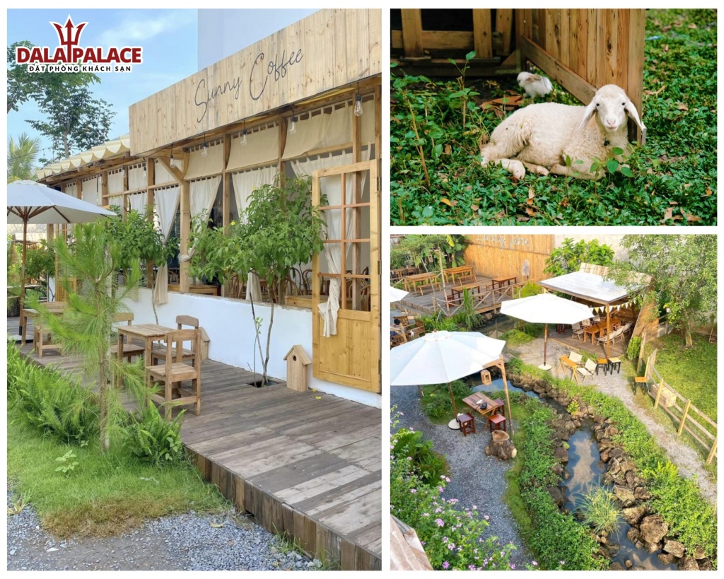 Sunny Farm là sự kết hợp homestay-cafe với không gian ấm áp lãng mạn