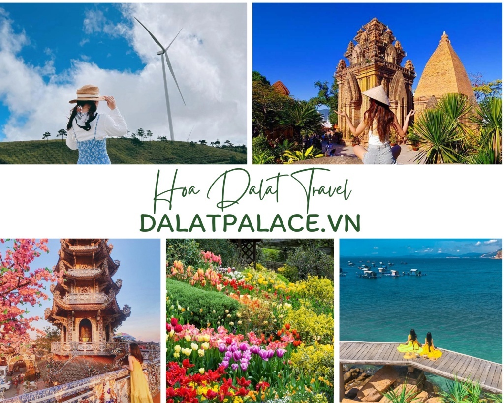 Tour Nha Trang Đà Lạt 3n2đ giá rẻ - Hoa Dalat Travel