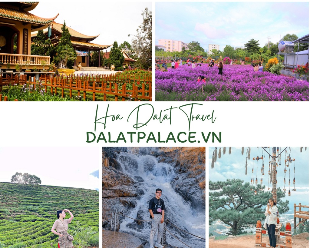 Tour du lịch Tây Ninh Đà Lạt 3 ngày 2 đêm Hoa Dalat Travel