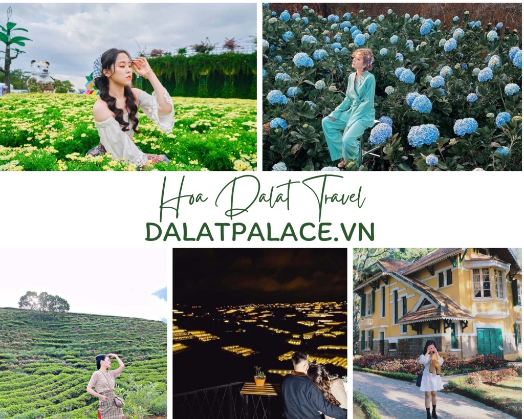 Đặt tour Nha Trang - Đà Lạt 2 ngày 1 đêm uy tín Hoa Dalat Travel