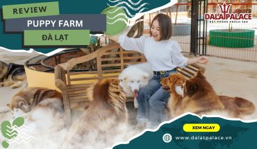 Nông trại cún Puppy Farm Đà Lạt