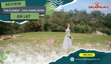 The Florest – Hoa Trong Rừng Đà Lạt