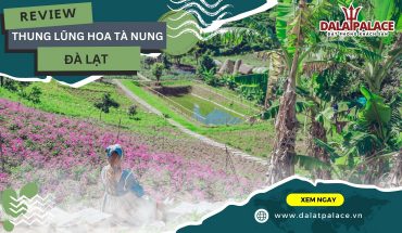 Thung lũng hoa Tà Nung Đà Lạt