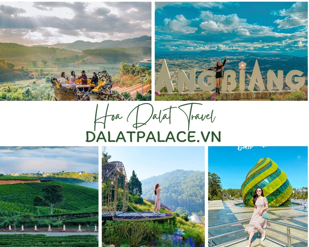 Tour du lịch Đà Lạt cùng Hoa Dalat Travel