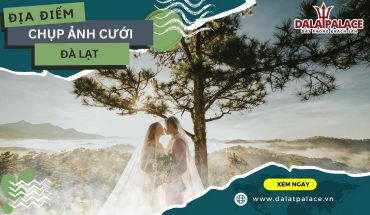 Chụp ảnh cưới Đà Lạt