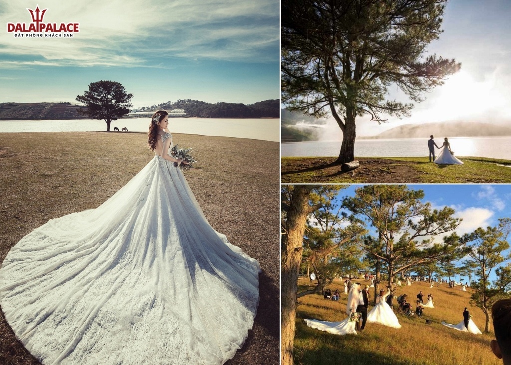 Chụp ảnh cưới ở Hồ Suối Vàng Đà Lạt