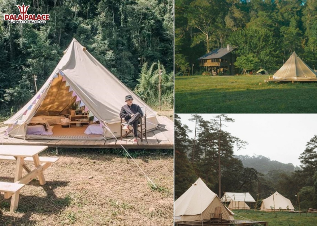 Dalat Camp - cắm trại Đà Lạt có view núi rừng 