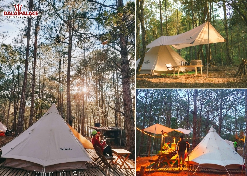 Lux Camp, Thuê lều cắm trại Đà Lạt