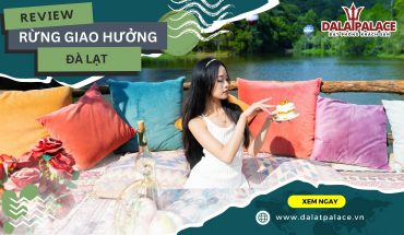 Rừng Giao Hưởng Đà Lạt