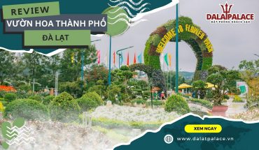 Vườn hoa thành phố Đà Lạt