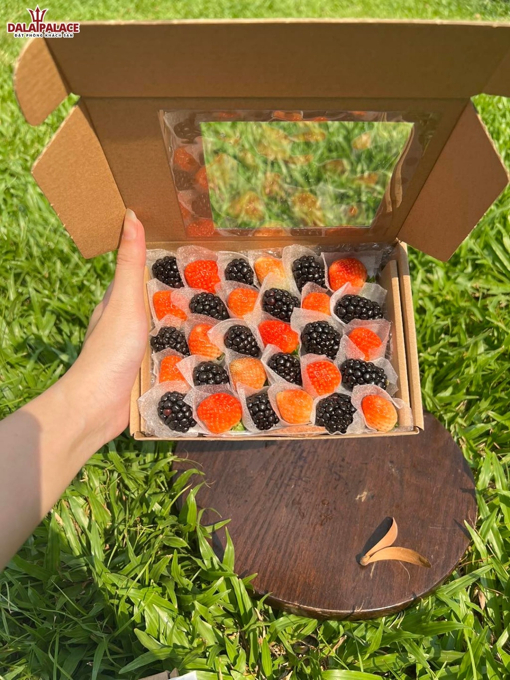 Delicious Fruits Đà Lạt
